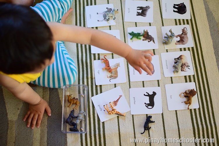 Introducing Wild Animals to Toddlers