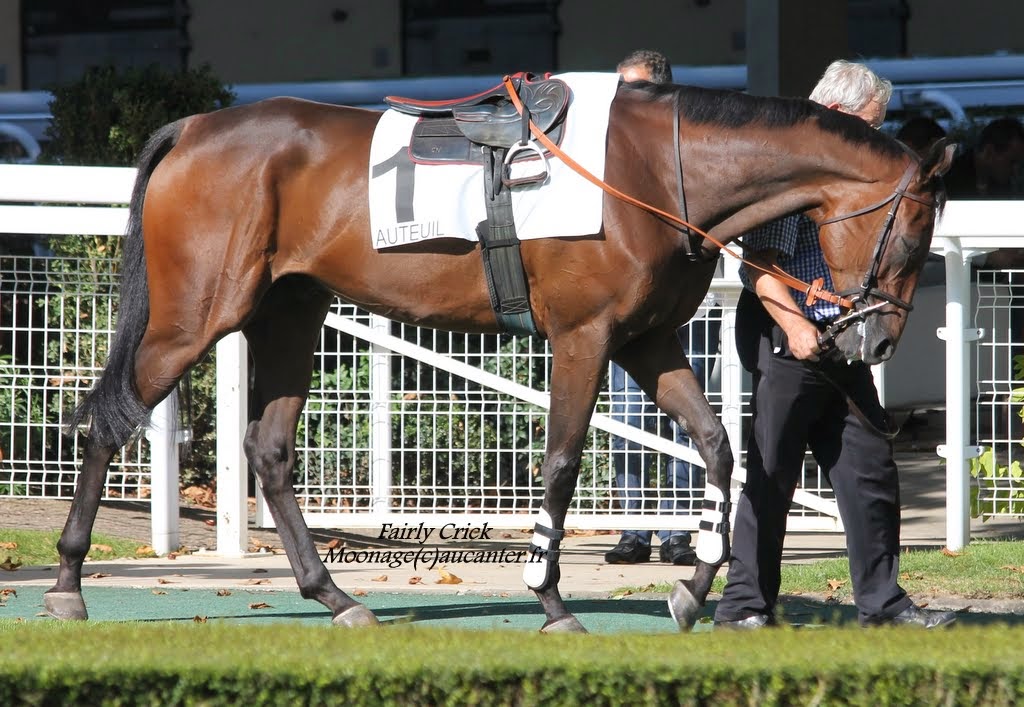 Photos Auteuil le 27-09-2014 IMG_4532