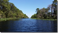 Long paddle between trees