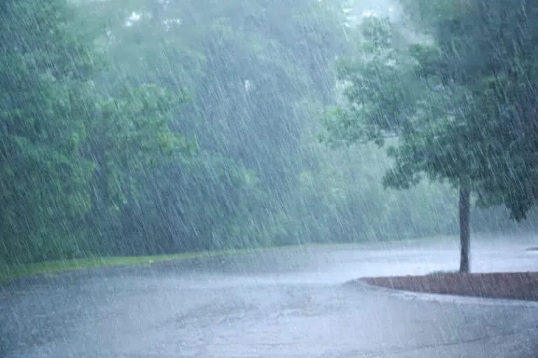 സംസ്ഥാനത്ത് ശക്തമായ മഴയ്ക്ക് സാദ്ധ്യത