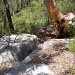 path down to wondabyne (19437)