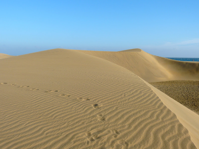 Gran Canaria P1180357