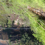 Track to Bridal Veil Falls (98657)