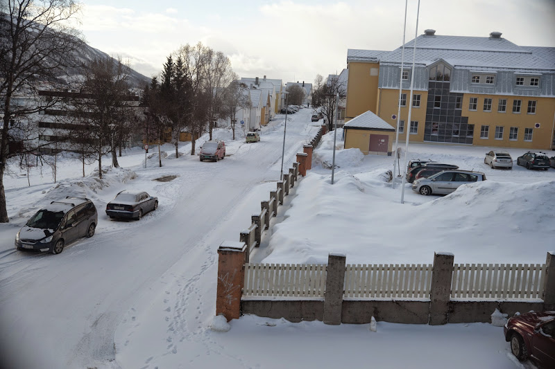 Escapada boreal a Noruega (2015) - Blogs de Noruega - Paseando por el hielo (4)