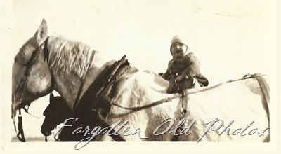 Child on a horse DL ant