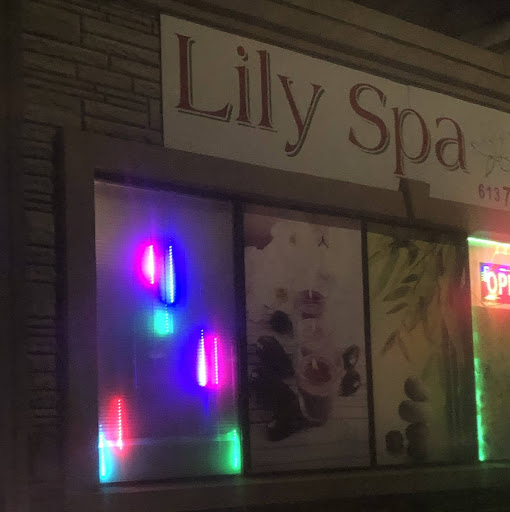 Lily Spa logo