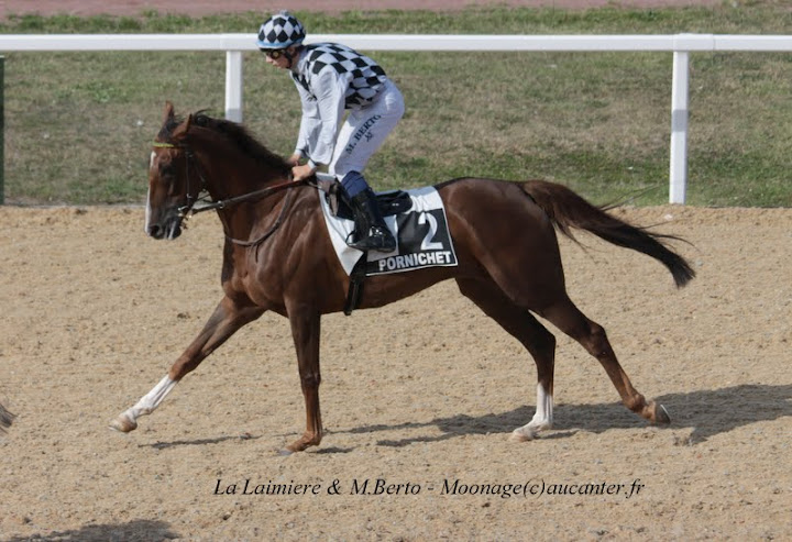 Photos Pornichet le 7-08-2015 IMG_3574