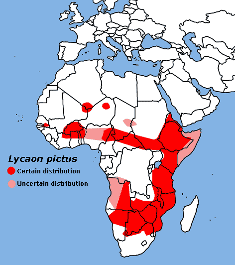 파일:external/upload.wikimedia.org/Lycaon_pictus_map-tob.png