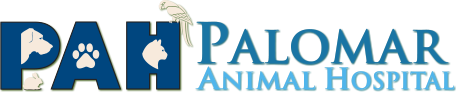 Palomar Animal Hospital