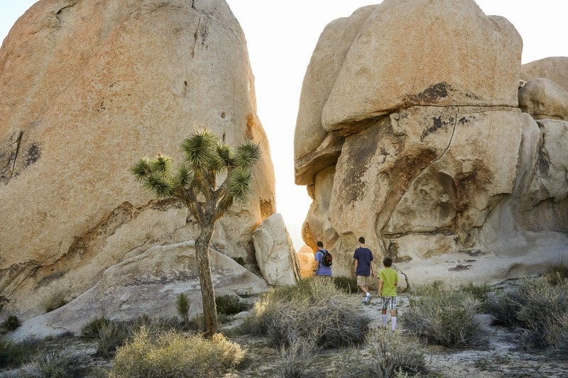 jumping in joshua tree-20