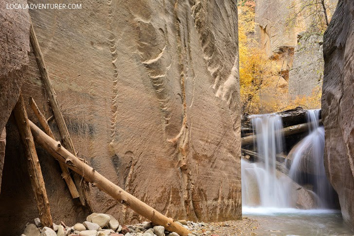 {Photo Guide} Hiking Zion National Park Day 1.