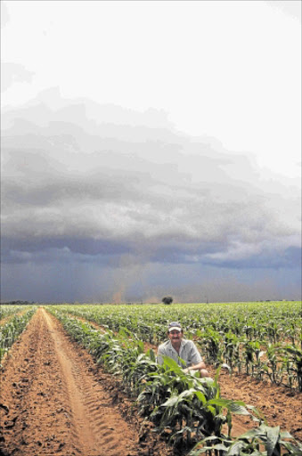 NEW OPPORTUNITIES: Willem Pretorius from Zuurbult in his maize field. Grain farmers are taking strain in the uncertain economic climate as they battle increasing competition from other African producers and falling demand from Europe. Photo: Leana Erasmus