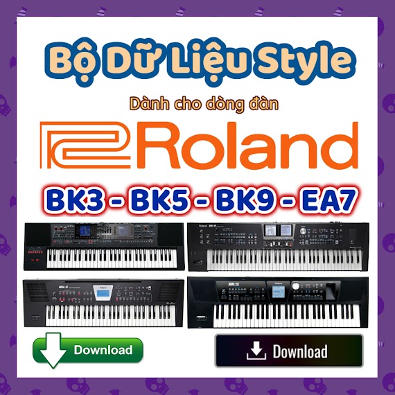 Hơn 12000 Style Intro, Style Cơ Bản Dành Cho Dòng Đàn Roland Ea7 Bk9 Bk5 Bk3 - Download Version