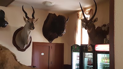 Photos of Hotel Fedora
