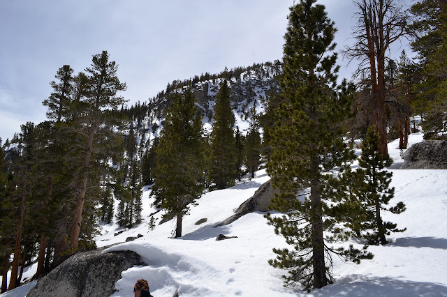 snow blanket