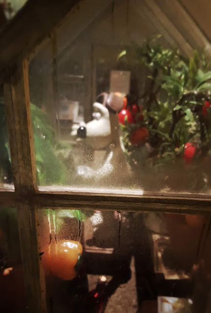 Photo of Gromit in his greenhouse