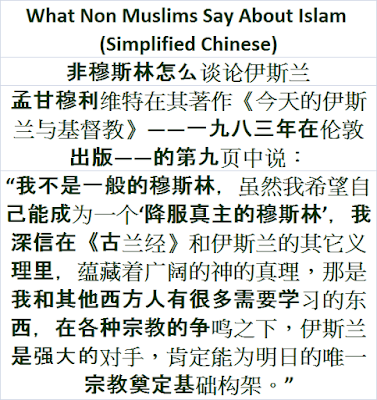 What Non Muslims Say About Islam Chinese Fēi mùsīlín zěnme tánlùn yīsīlán 非穆斯林怎么谈论伊斯兰