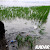 Akibat Banjir Petani Terancam Gagal Panen di Belawa