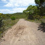 Level trail looking west on the Wallarah Pennisula (388553)