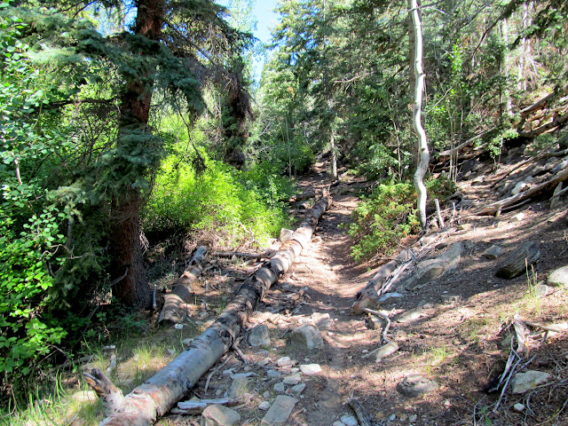 Black Canyon trail