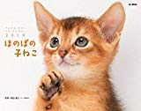 カレンダー2019 ほのぼの子ねこ (ヤマケイカレンダー2019)