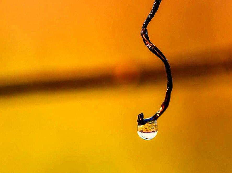 Drop orange di  cristina masoni