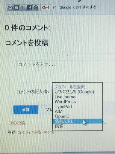 BloggerImage