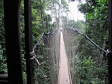 파일:external/upload.wikimedia.org/220px-Kakum_Canopy_Walk.jpg