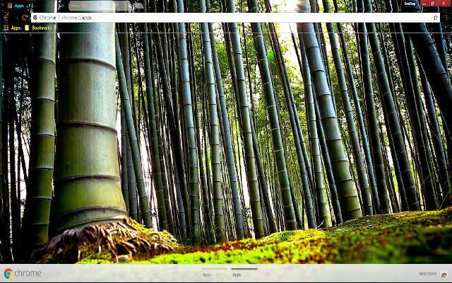 Bamboo Earth Forest chrome extension