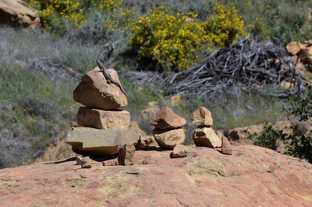 multitude of cairns with a lizard