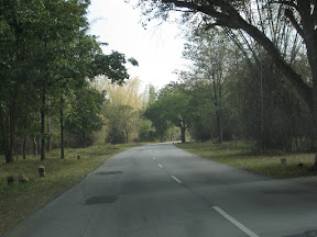Bandipur Forest Road