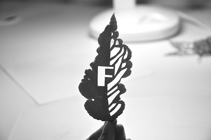 Tipografía creada con hojas naturales