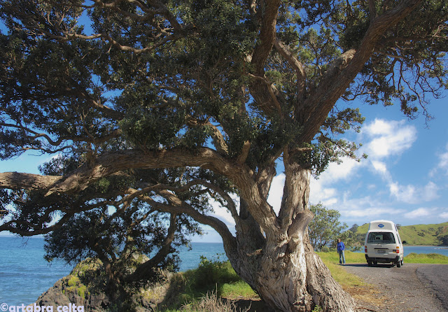 PRIMEROS DÍAS DE RUTA. PAIHIA Y COROMANDEL - NUEVA ZELANDA EN AUTOCARAVANA. UN VIAJE DE ENSUEÑO (1)