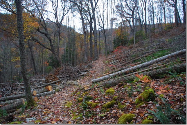 10-31-15 Cumberland Gap Saddle Hike (143)