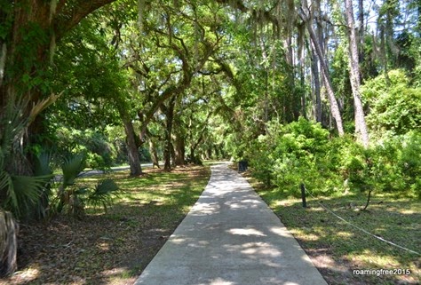 Shaded bike path