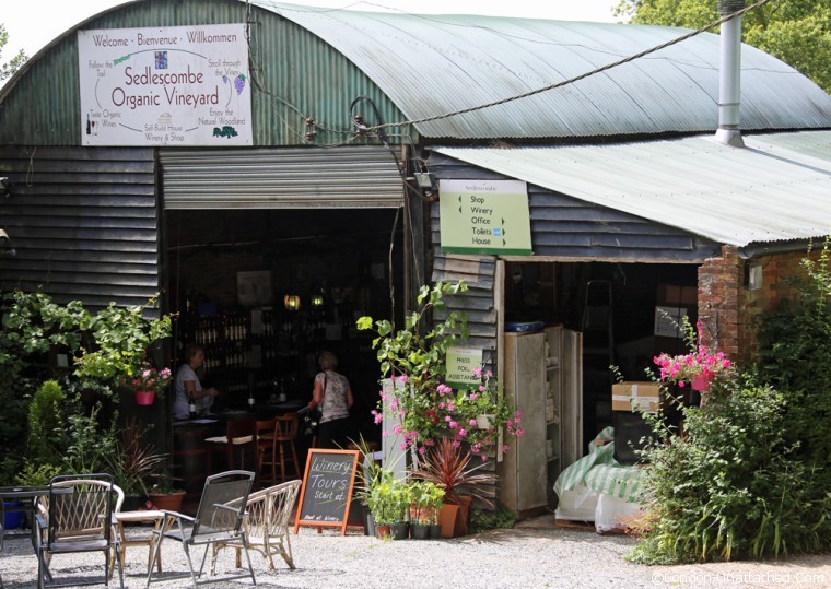 Main image of Sedlescombe Organic Vineyard