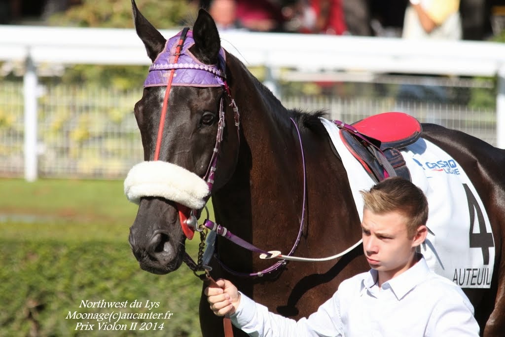 Photos Auteuil le 27-09-2014 IMG_4420