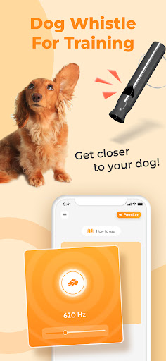 Screenshot Dog Translator: Game For Dogs