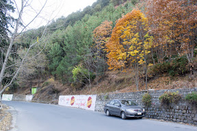 On the way to Nathia-Gali from Abbottabad.