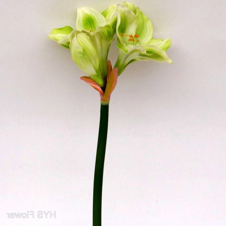 wedding bouquet with amaryllis