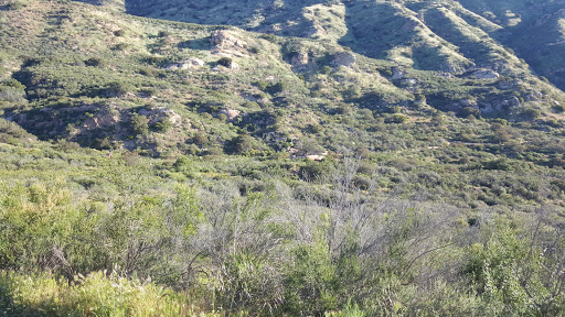 National Park «Cheseboro and Palo Comado Canyon», reviews and photos, 5792 Chesebro Rd, Agoura Hills, CA 91301, USA