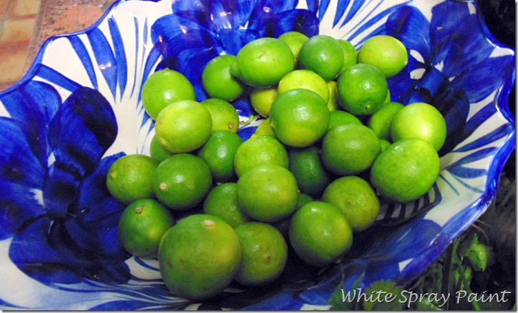 Mexican Limes in aTalavera Bowl