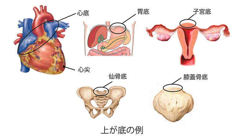 uegasokonorei.jpg