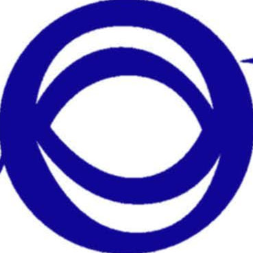 Natural Vision logo