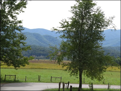 Cades Cove scenic Loop