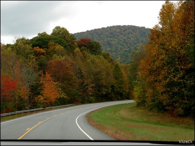 Fall foliage