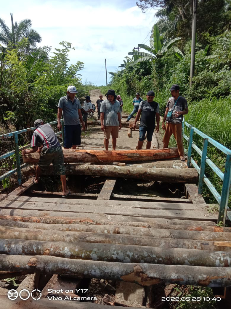 Warga Maihat Tonga Gotong Royong Perbaiki Lantai Jembatan Silimuton