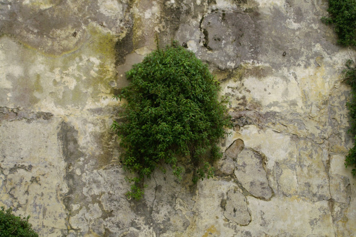 Что делать, если весна не хочет приходить вовремя? Правильно - назначить ее самим!
