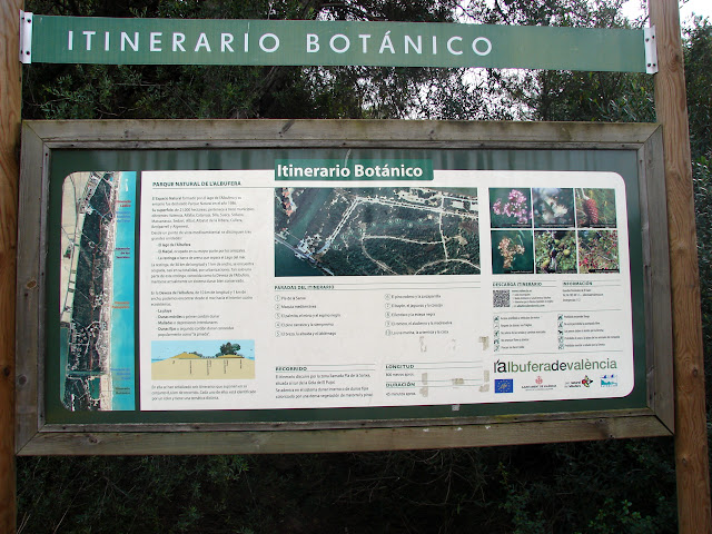 albufera de Valencia Itinerario botánico