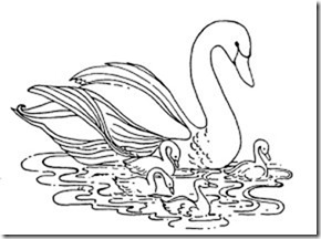 cisne2